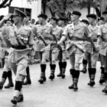 Parade 1954 Hamilton